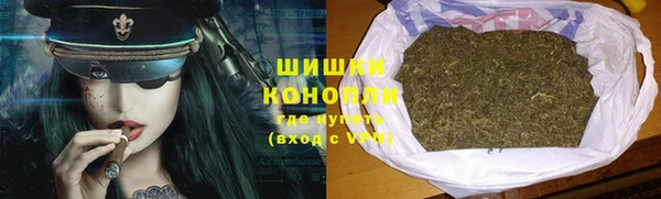 шишки Краснотурьинск