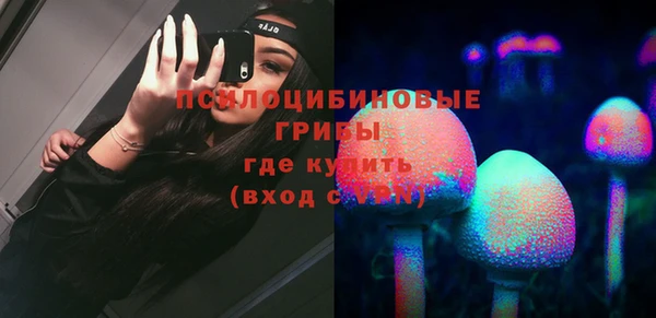 шишки Краснотурьинск