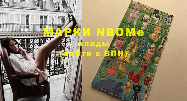 шишки Краснотурьинск
