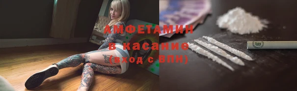 шишки Краснотурьинск