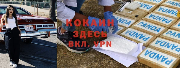 шишки Краснотурьинск