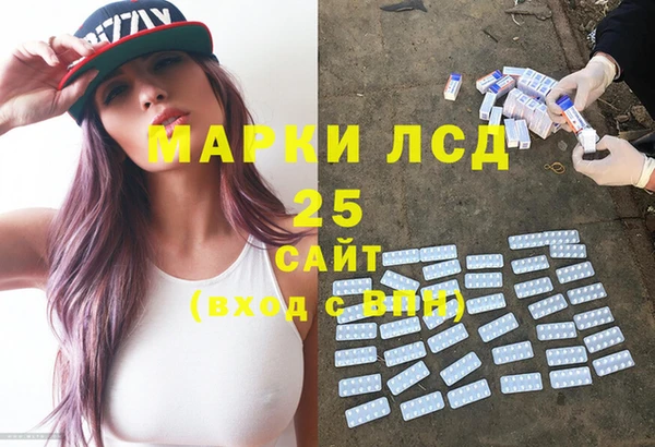 шишки Краснотурьинск