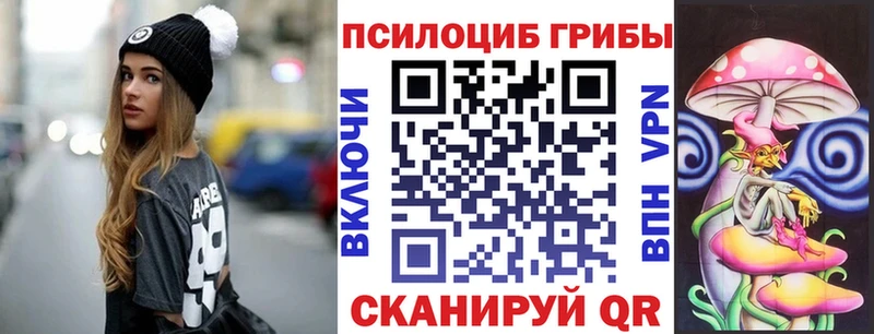 Галлюциногенные грибы мицелий наркотики kraken зеркало Новотитаровская