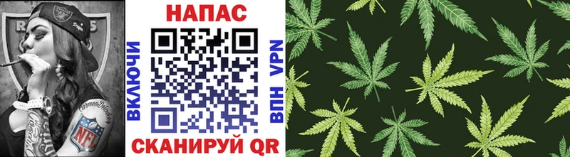 купить закладку  Новотитаровская  Шишки марихуана OG Kush 